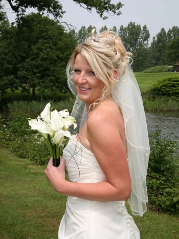 wedding veils and tiaras